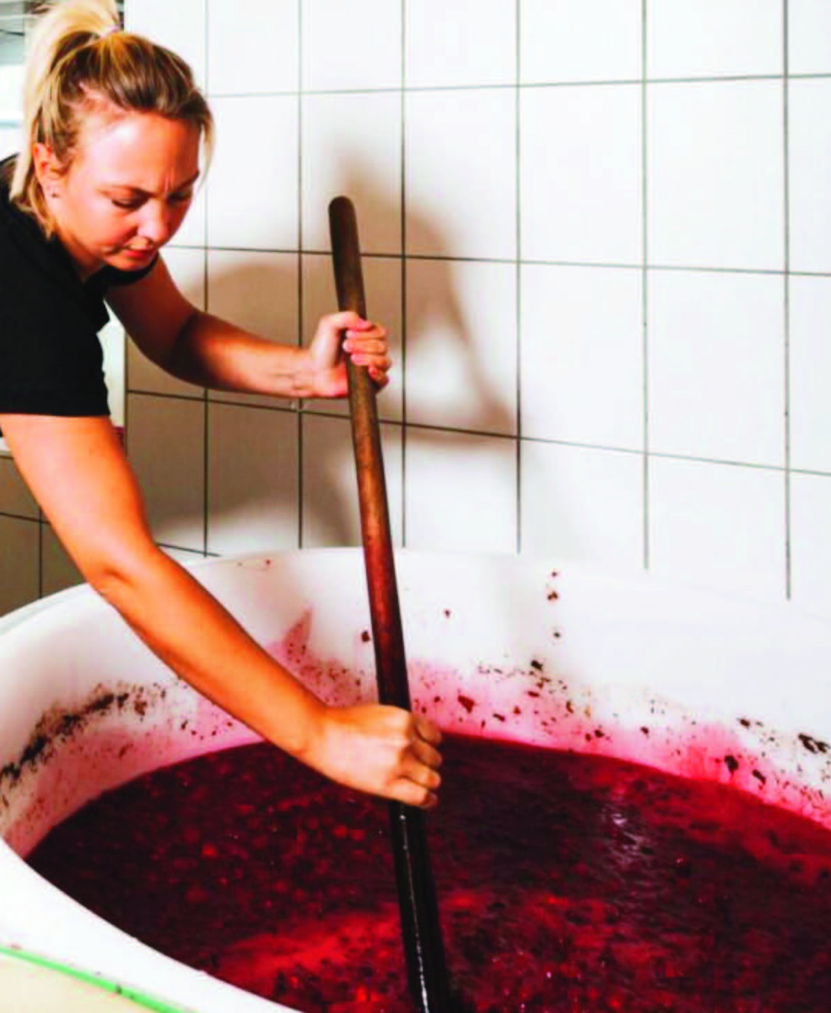 shop_produkt_lolita-4