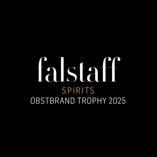 Ingwer-Falstaff-2025-724x1024